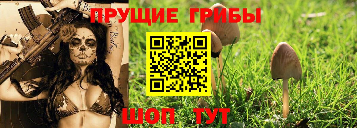 Вышний Волочёк  Галлюциногенные грибы мицелий  Галлюциногенные грибы ЛСД  Вход с VPN 
