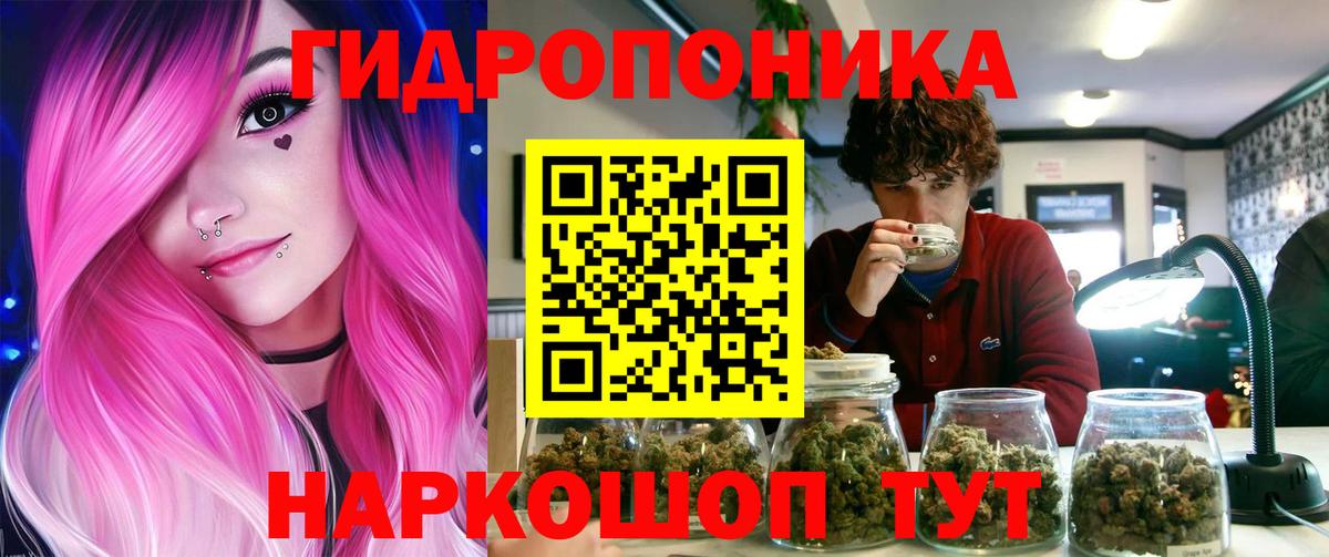 Канабис AK-47  Бошки марихуана THC 21%  Вход с VPN  Вышний Волочёк  Бошки Шишки Amnesia 